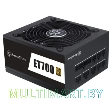 Блок питания SilverStone ET700-MG 700W